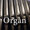 undefined CALM RADIO - Organ