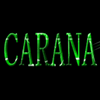 undefined CARANA Radio