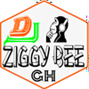 undefined Dj Ziggy Bee pro