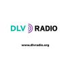 undefined DLVradio