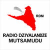 undefined RADIO DZIYALANDZE