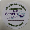 undefined Radio Geneto