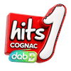 undefined Hits 1 Cognac