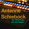 undefined Antenne-Schiebock