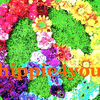 undefined hippie4you