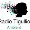 undefined radio-tigullio-ambient