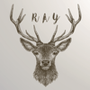 undefined rayfm