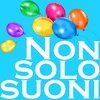 undefined NONSOLOSUONI