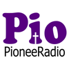 undefined Pioneer Radio