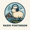 undefined Radio Pontorson, la Radio 100% son !
