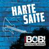 undefined RADIO BOB! BOBs Harte Saite