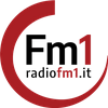 undefined Radio FM1