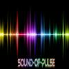 undefined Sound-of-Pulse