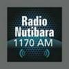 undefined Todelar Medellin - Radio Nutibara