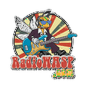 Rádio WASP-DB