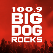Rádio Big Dog 100.9