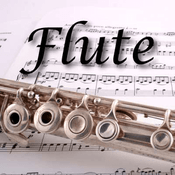 Rádio CALM RADIO - Flute