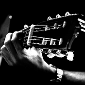 Rádio Radio Caprice - Acoustic Guitar