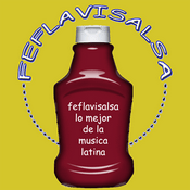 Rádio Feflavisalsa