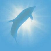 Rádio instrumental-orchestral-hits