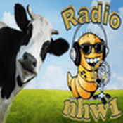 Rádio nhw1
