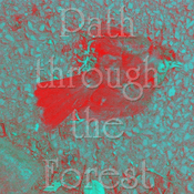 Rádio path_through_the_forest