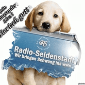 Rádio radio-seidenstadt