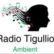 Rádio radio-tigullio-ambient