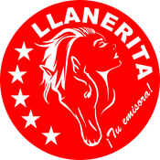 Rádio Llanerita Estéreo