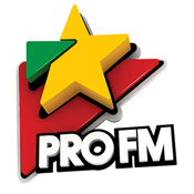 Rádio Pro FM