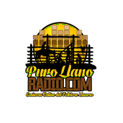 Rádio Puro Llano Radio