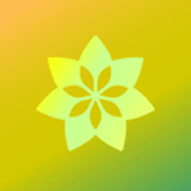 Rádio Radio Record Goa Psy