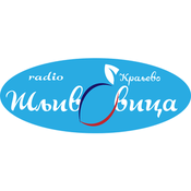 Rádio Radio Sljivovica Kraljevo