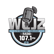 Rádio WLJZ 107.1 FM