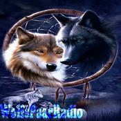 Rádio Wolfspaarradio