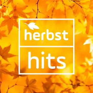 ANTENNE BAYERN - Herbst Hits