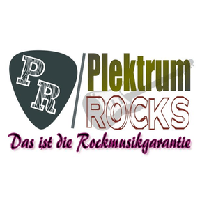 Plektrum