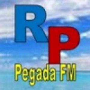 Radiopegadasertaneja