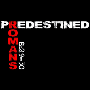 Ouça PREDESTINED RADIO na aplicação