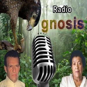 Ouça Radio Gnosis na aplicação