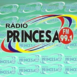 Ouça Rádio Princesa FM 99.1 na aplicação