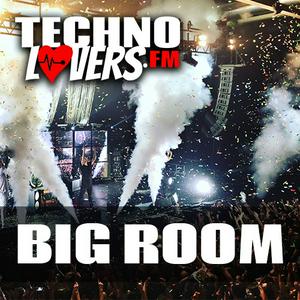 Ouça Technolovers BIG ROOM na aplicação