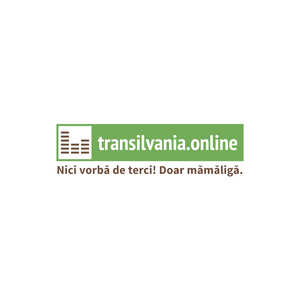 transilvania.online