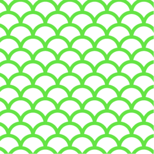 WSAK - The Shark 102.1 FM