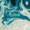 undefined 10 Curiosidades Sobre Tubarões