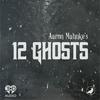 undefined 12 Ghosts