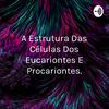 undefined A Estrutura Das Células Dos Eucariontes E Procariontes.