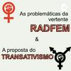 undefined A problemática do Feminismo Radical e a proposta do Transativismo.