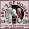 undefined ABC’s of Horses with Christy Wood