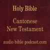 undefined ABP - Cantonese Bible - New Testament - January Start